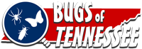 BugsOfTennessee.com site logo image